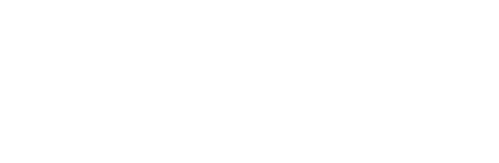 Steel Transfer Logo